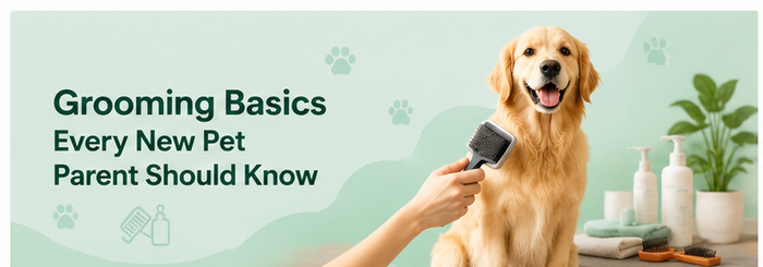 Grooming Basics Every New Pet Parent Should Know