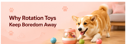 Why Rotation Toys Keep Boredom Away