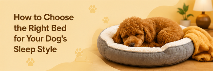 How to Choose the Right Bed for Your Dog's Sleep Style