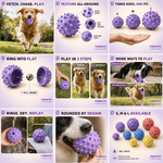 Rubber Ball photo 1