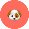 Dogs