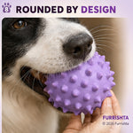 Rubber Ball photo 9