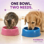 Bowl photo 7