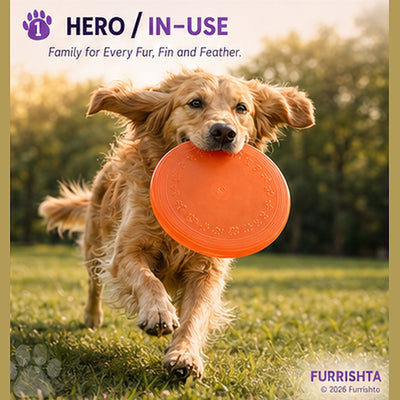 Frisbee