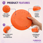 Frisbee photo 3
