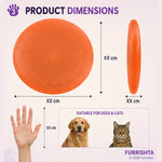 Frisbee photo 4