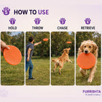 Frisbee photo 6