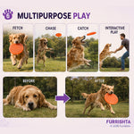 Frisbee photo 7