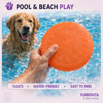 Frisbee photo 8