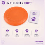Frisbee photo 10