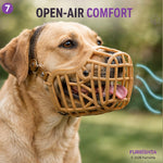 Muzzle photo 8