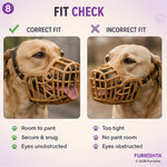Muzzle photo 9