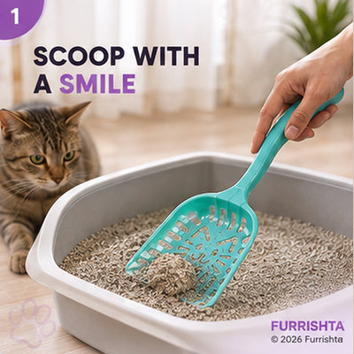 Scooper Cat Face